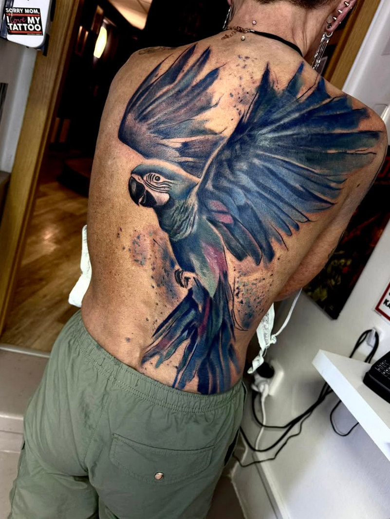 Screenshot 2026-02-17 at 10-53-40 Instagram